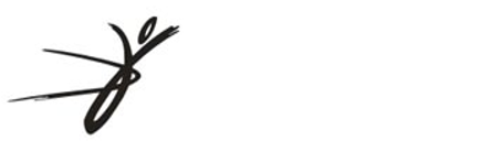 JVO Biokineticist